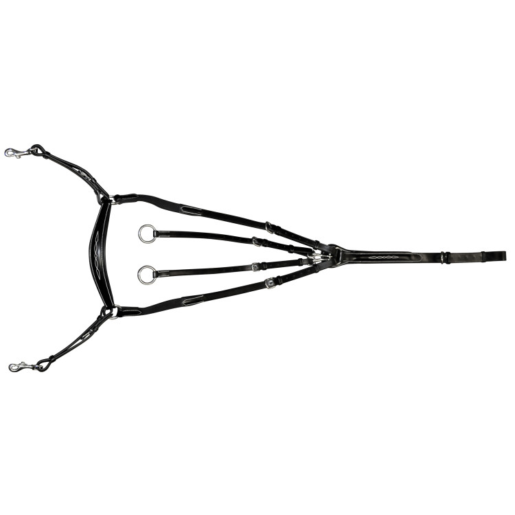 Collier de chasse Lexington Denver