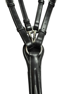 Collier de chasse Lexington Denver 2