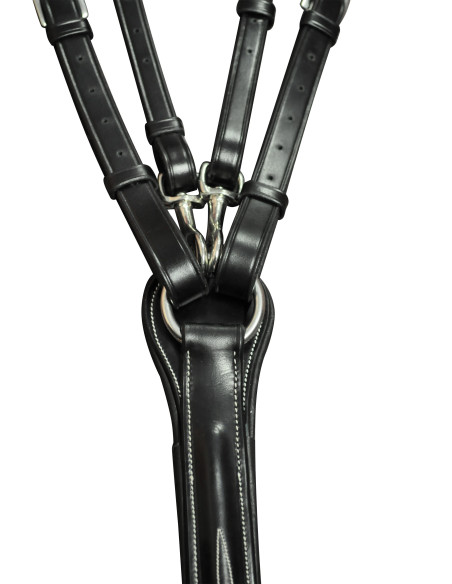 Collier de chasse Lexington Denver