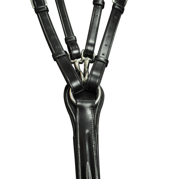 Collier de chasse Lexington Denver