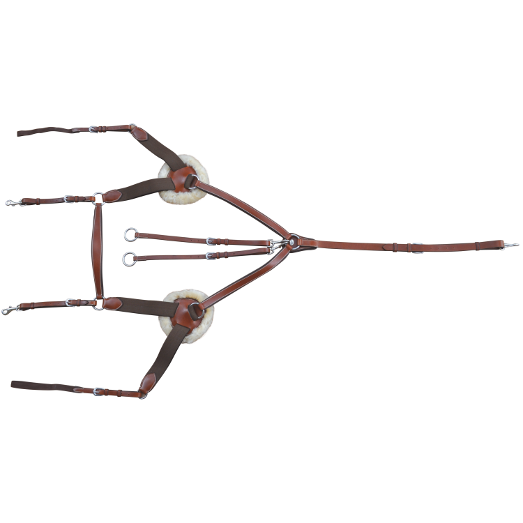 Collier de chasse Lexington 5 points