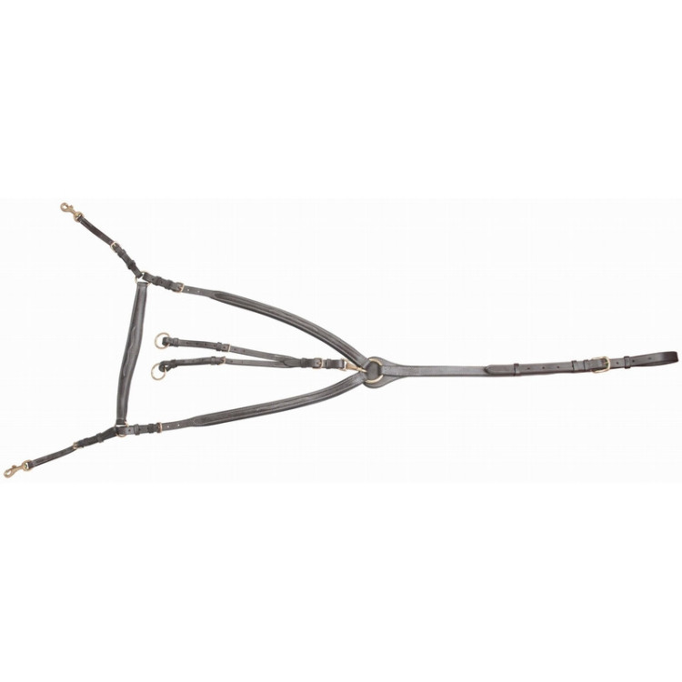 TdeT Bridge Breastplate