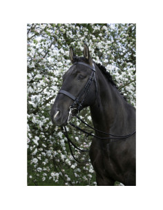 Riding World Bridle 2