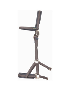 TdeT Biotack Sidepull