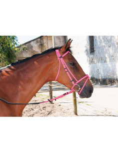 TdeT Biotack Bridle 2