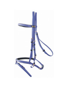 TdeT Biotack Bridle