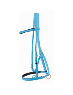 TdeT Biotack Bridle-Halter