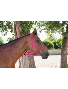 TdeT Biotack Bridle-Halter 2
