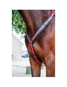 TdeT Biotack Breastplate 2