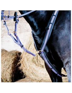 Collier De Chasse TdeT Biotack