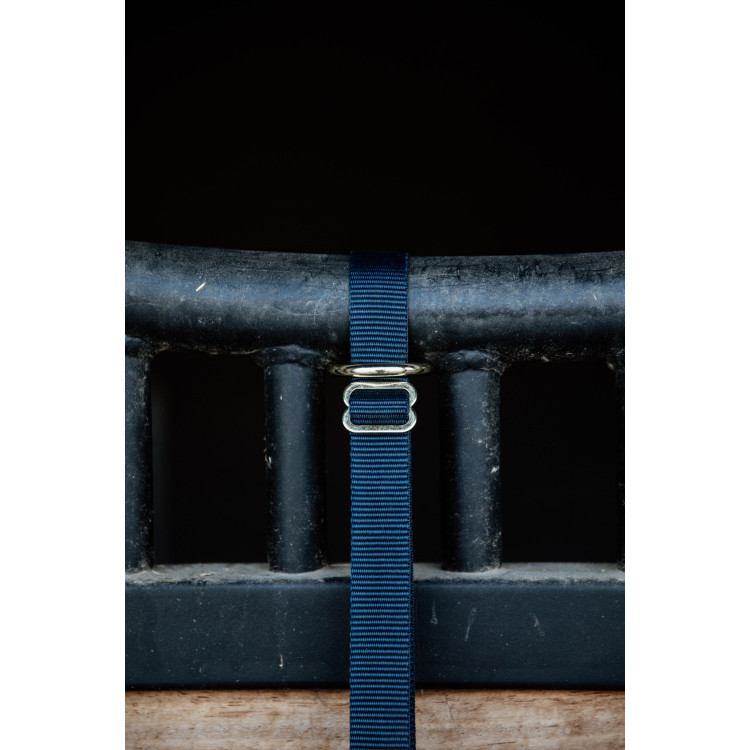 Lanière D'Attache Kentucky