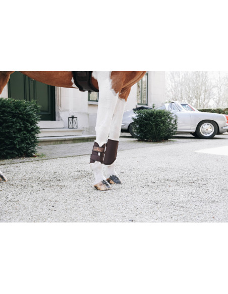 Guêtres Antérieures Kentucky Solimbra Mouton marron