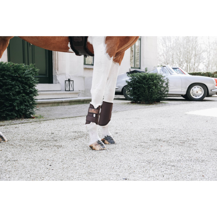 Guêtres Antérieures Kentucky Solimbra Mouton marron