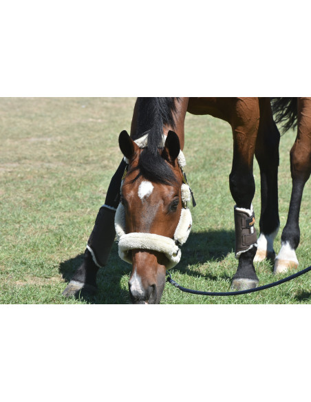 Guêtres Antérieures Kentucky Solimbra Mouton marron