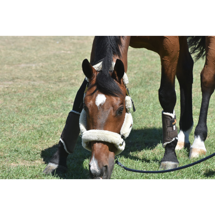 Guêtres Antérieures Kentucky Solimbra Mouton marron