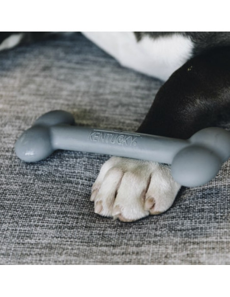 Os Pour Chien Kentucky En Silicone