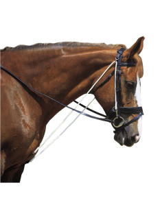 Norton Compound Chambon