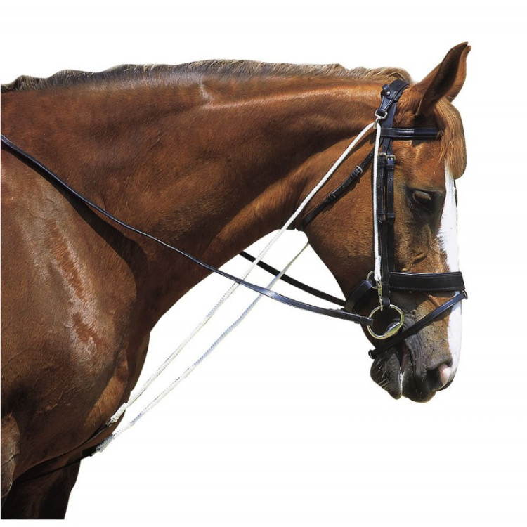 Chambon Norton à Poulies