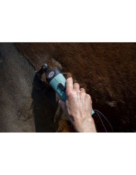 Tondeuse Lister Star