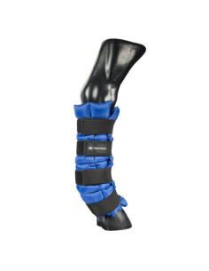 Chaussettes d'entraînement courtes JAKO rouges