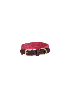 Kentucky Jacquard Dog Collar
