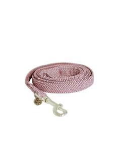 Laisse pour Chien Kentucky Laine rose