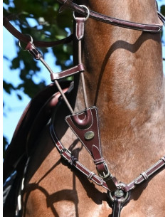 Martingale Elastique Jump'in De Collier