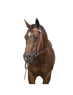 Randol's "Two Tone" Bridle