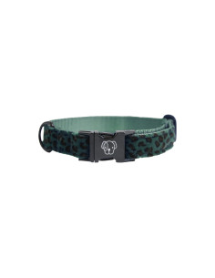 Kentucky Leopard Dog Collar 2