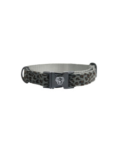 Kentucky Leopard Dog Collar