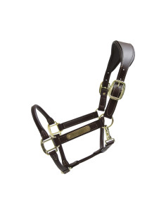 Licol Kentucky Anatomique