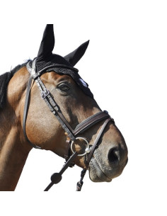 IHWT Evolution Contact Bridle