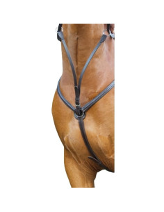 TdeT Classic Breastplate
