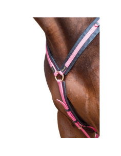 TdeT Biotack Breastplate