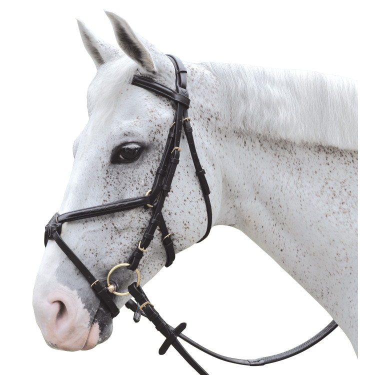 Bridon Chetak surpiqué muserolle croisée