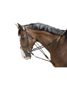 Riding World Gogue with...