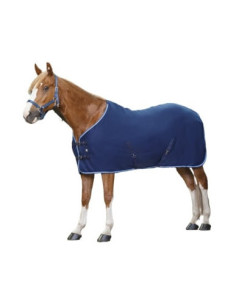 Chemise Polaire Riding World Sursangles Croisées