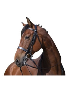 Riding World Bridle