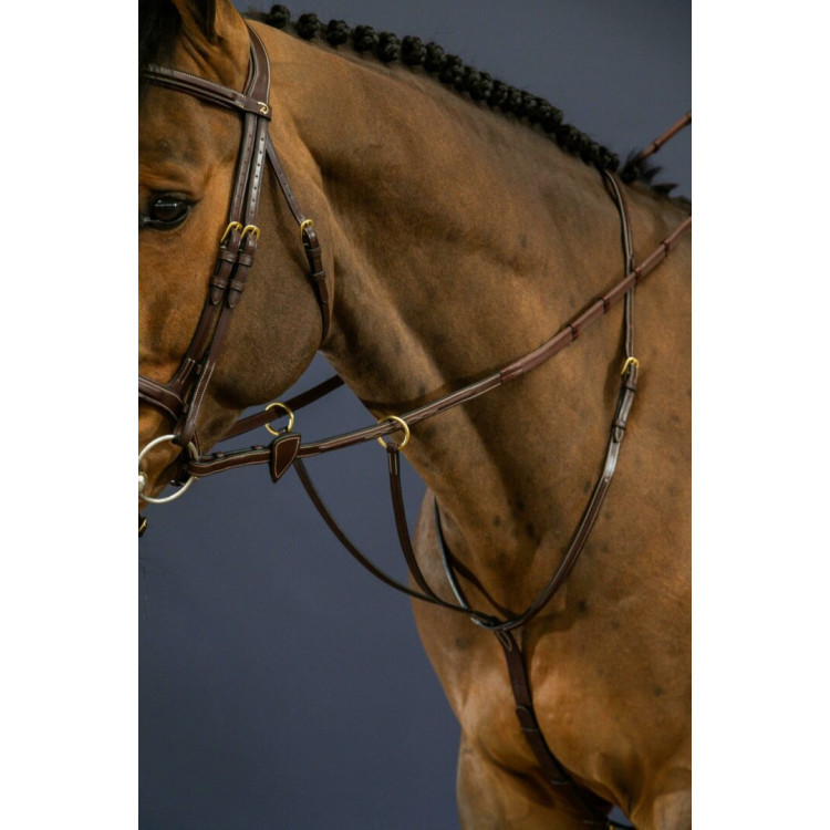 Martingale Dy'on à Anneaux D Collection brun