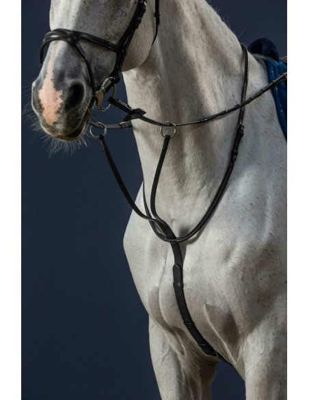 Martingale Dy'on à Anneaux NEC noir