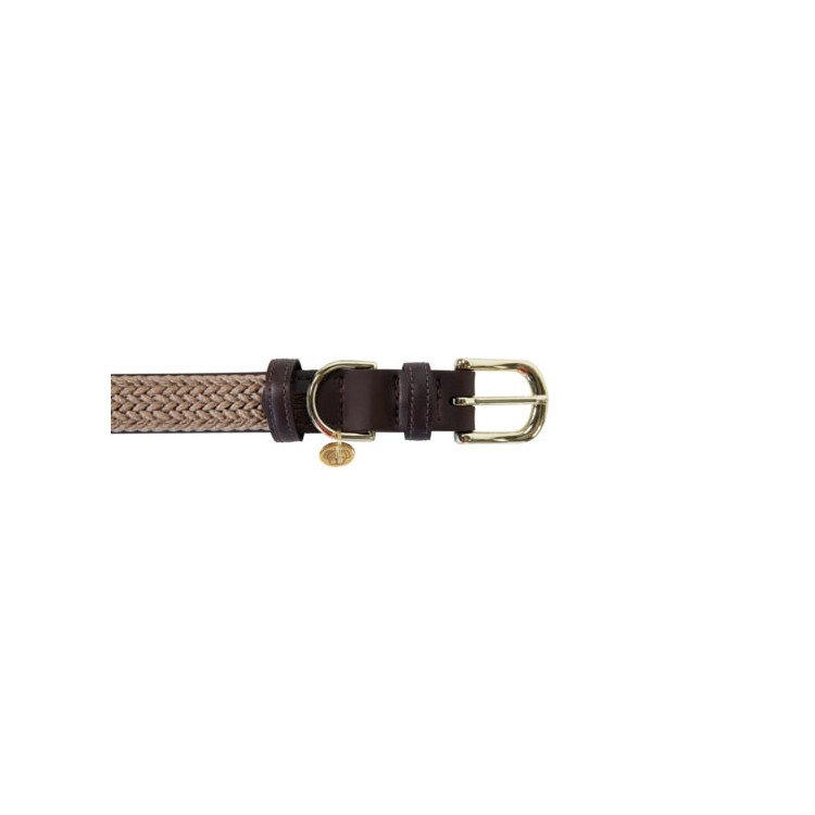 Collier Pour Chien Kentucky Nylon Beige