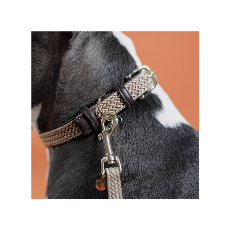 Collier Pour Chien Kentucky Nylon Beige