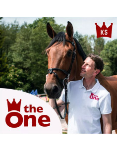 Bridon CWD Kevin Staut Le Style Avec Rênes Châtaigne 2