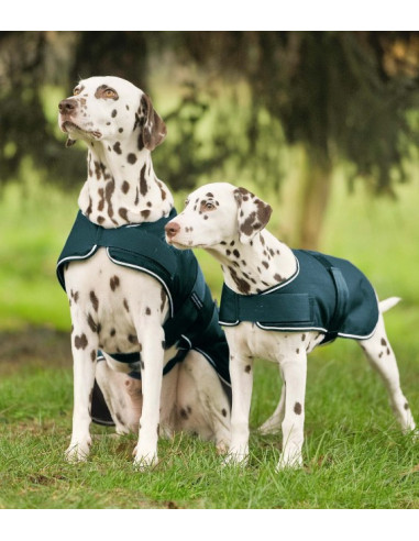 Couverture de Pluie Waldhausen Pour Chien Marine