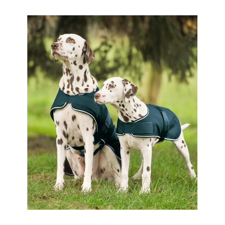 Couverture de Pluie Waldhausen Pour Chien Vert Sapin