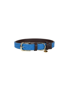 Collier Pour Chien Kentucky Nylon Bleu ciel