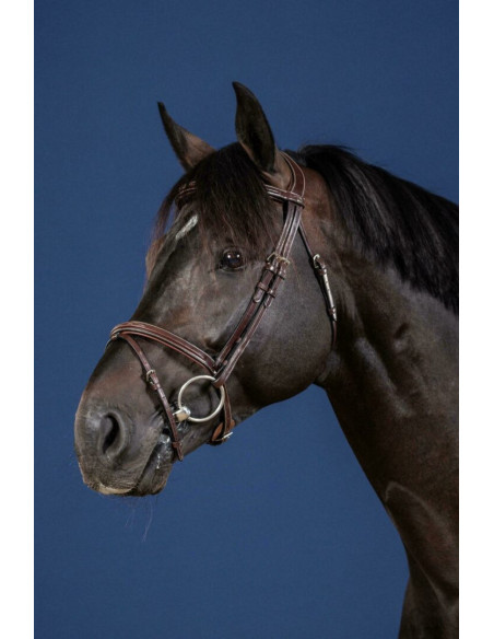 Bridon Dy'on Muserolle Combinée US Collection brun