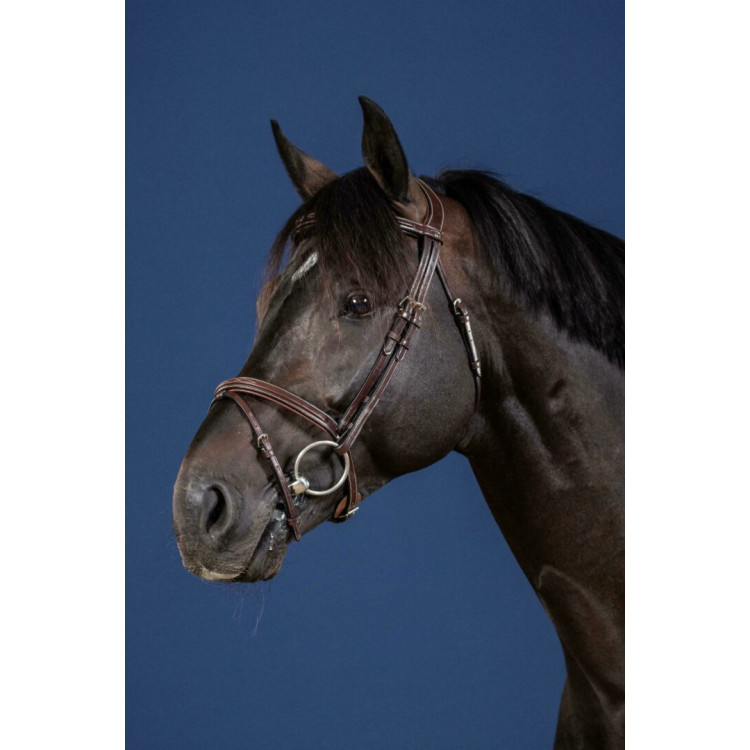 Bridon Dy'on Muserolle Combinée US Collection brun