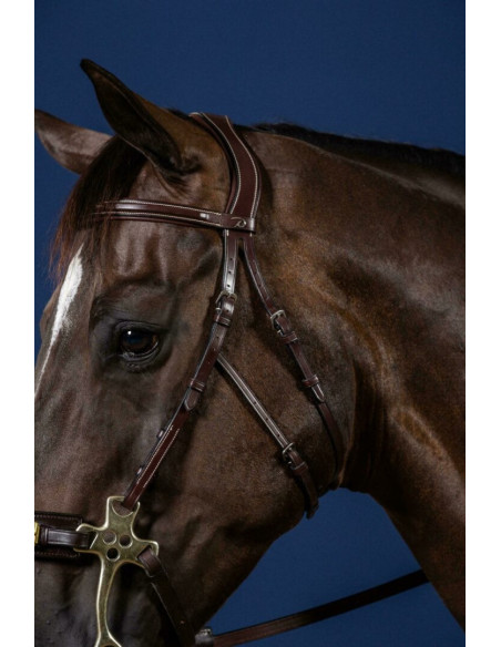 Bridon Dy'on Hackamore US Collection brun