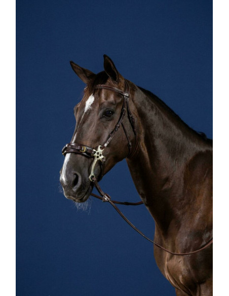 Bridon Dy'on Hackamore US Collection brun